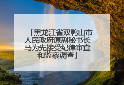 黑龙江省双鸭山市人民政府原副秘书长马为先接受纪律审查和监察调查