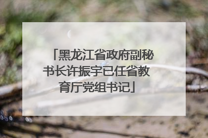 黑龙江省政府副秘书长许振宇已任省教育厅党组书记