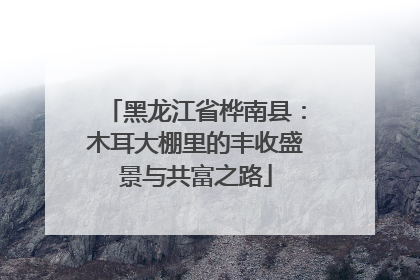 黑龙江省桦南县：木耳大棚里的丰收盛景与共富之路