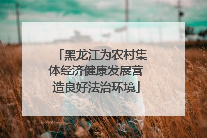 黑龙江为农村集体经济健康发展营造良好法治环境