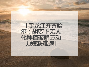 黑龙江齐齐哈尔：胡萝卜无人化种植破解劳动力短缺难题