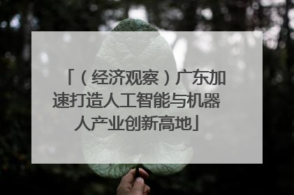 （经济观察）广东加速打造人工智能与机器人产业创新高地