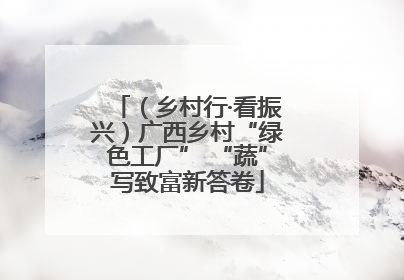 （乡村行·看振兴）广西乡村“绿色工厂” “蔬”写致富新答卷