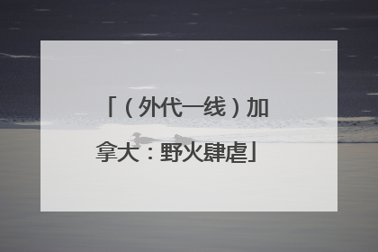 （外代一线）加拿大：野火肆虐