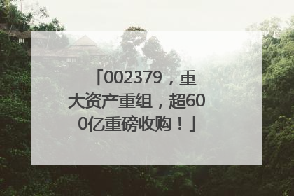 002379，重大资产重组，超600亿重磅收购！