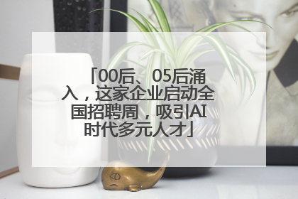 00后、05后涌入，这家企业启动全国招聘周，吸引AI时代多元人才
