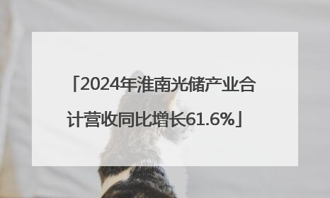 2024年淮南光储产业合计营收同比增长61.6%