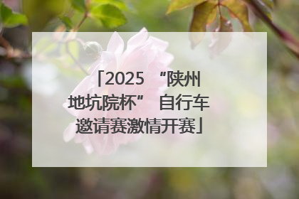 2025 “陕州地坑院杯” 自行车邀请赛激情开赛