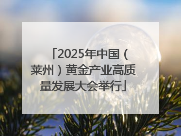2025年中国（莱州）黄金产业高质量发展大会举行