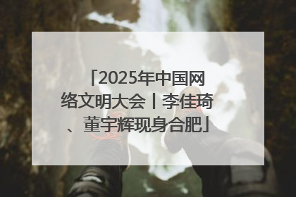 2025年中国网络文明大会丨李佳琦、董宇辉现身合肥
