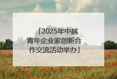 2025年中越青年企业家创新合作交流活动举办