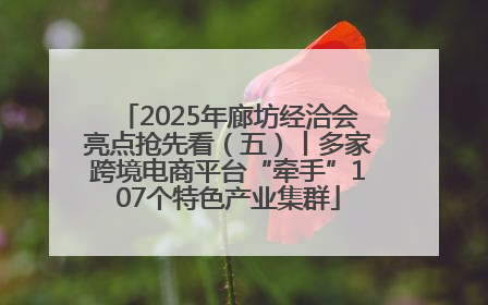 2025年廊坊经洽会亮点抢先看（五）丨多家跨境电商平台“牵手”107个特色产业集群