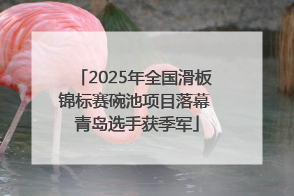 2025年全国滑板锦标赛碗池项目落幕 青岛选手获季军