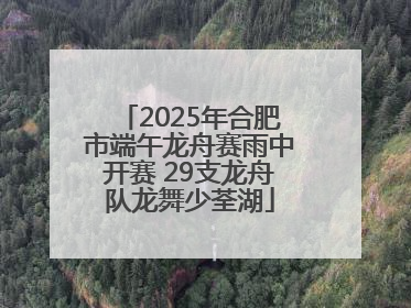 2025年合肥市端午龙舟赛雨中开赛 29支龙舟队龙舞少荃湖