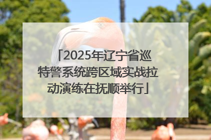 2025年辽宁省巡特警系统跨区域实战拉动演练在抚顺举行