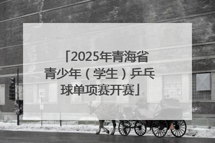 2025年青海省青少年（学生）乒乓球单项赛开赛