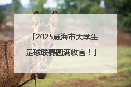 2025威海市大学生足球联赛圆满收官！