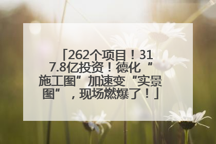 262个项目！317.8亿投资！德化“施工图”加速变“实景图”，现场燃爆了！