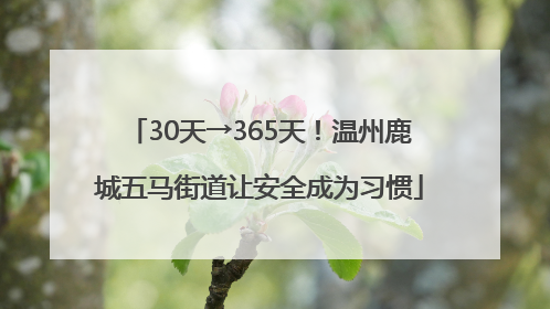 30天→365天！温州鹿城五马街道让安全成为习惯