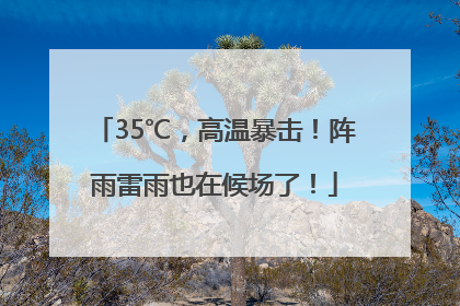 35℃，高温暴击！阵雨雷雨也在候场了！