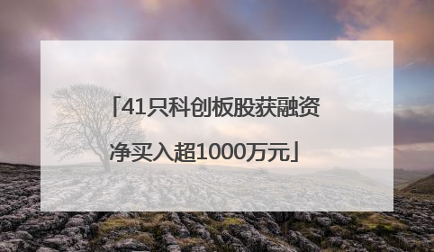 41只科创板股获融资净买入超1000万元