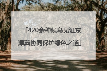 420余种候鸟见证京津冀协同保护绿色之道