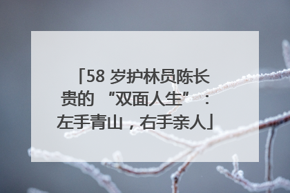 58 岁护林员陈长贵的 “双面人生”：左手青山，右手亲人