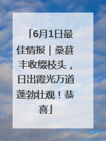 6月1日最佳情报｜桑葚丰收缀枝头，日出霞光万道蓬勃壮观！恭喜