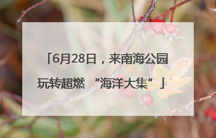 6月28日，来南海公园玩转超燃 “海洋大集”