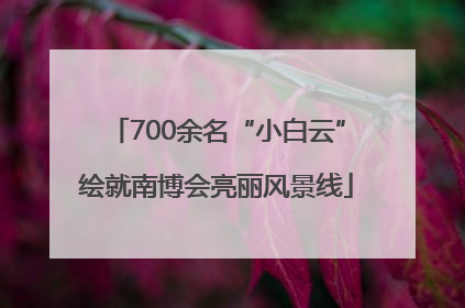700余名“小白云”绘就南博会亮丽风景线
