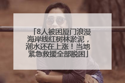 8人被困厦门浪漫海岸线红树林淤泥，潮水还在上涨！当地紧急救援全部脱困