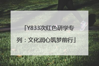 Y833次红色研学专列：文化润心筑梦前行